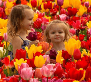 girls in flowers