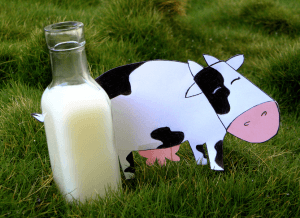 бутылка с молоком на траве