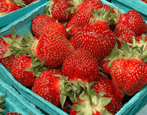 Strawberries in a square box