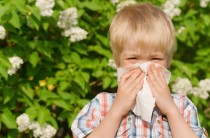 Лекарства от аллергии на пыльцу