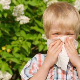 Pollen Allergy Medications