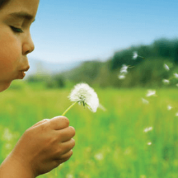Allergy in a child and temperature