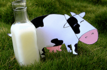 Козье молоко при атопическом дерматите