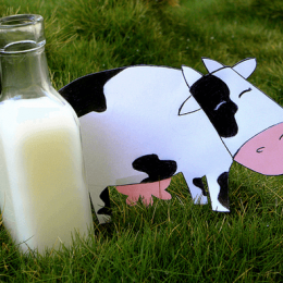 Козье молоко при атопическом дерматите