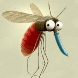 Allergy to mosquito bites: symptoms, treatment