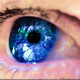 Аллергия на веках глаз: лечение народными средствами